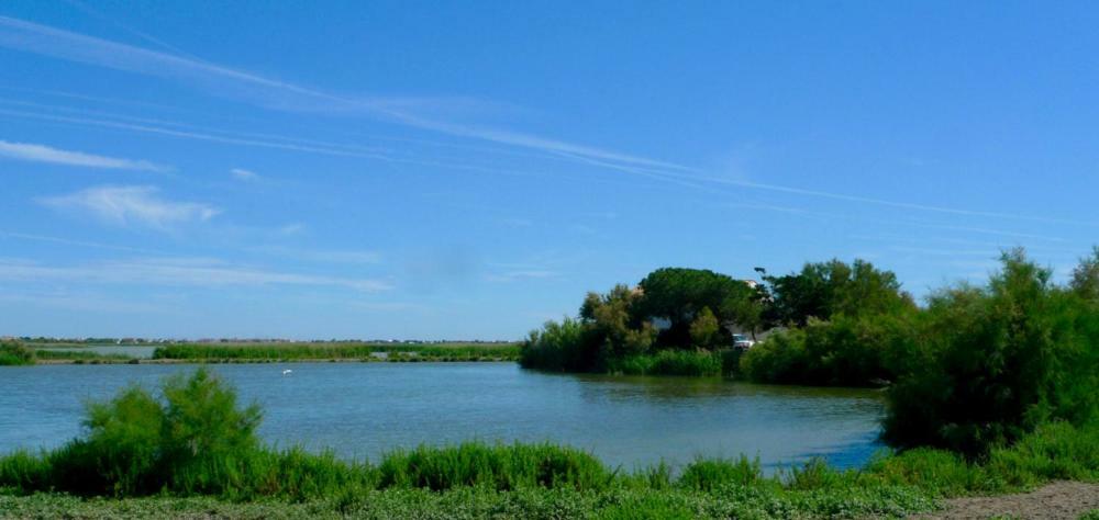 Mas Des Cabidoules Bed and Breakfast Saintes-Maries-de-la-Mer Exteriör bild